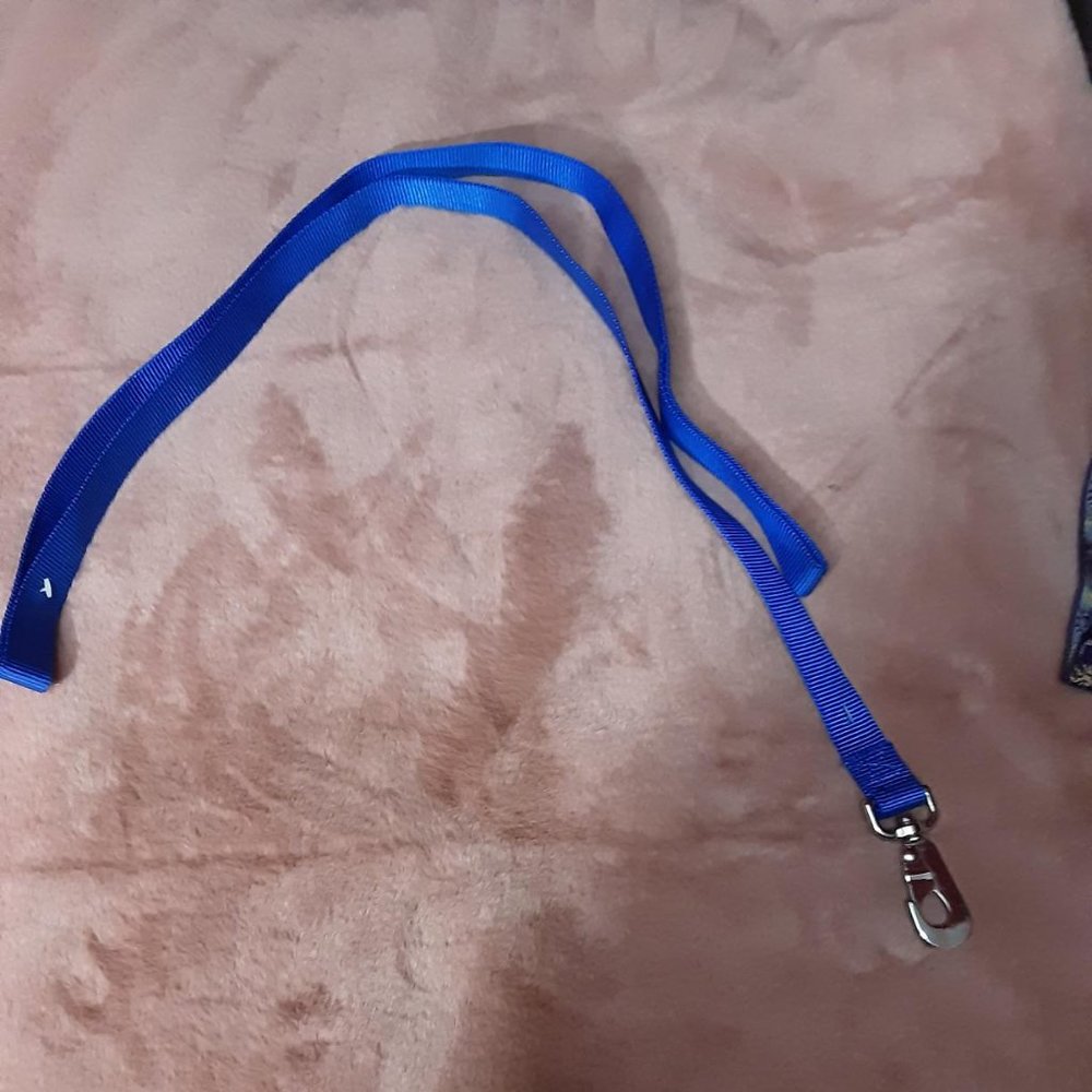 1" x  6' Nylon dog leash medium - large dogs